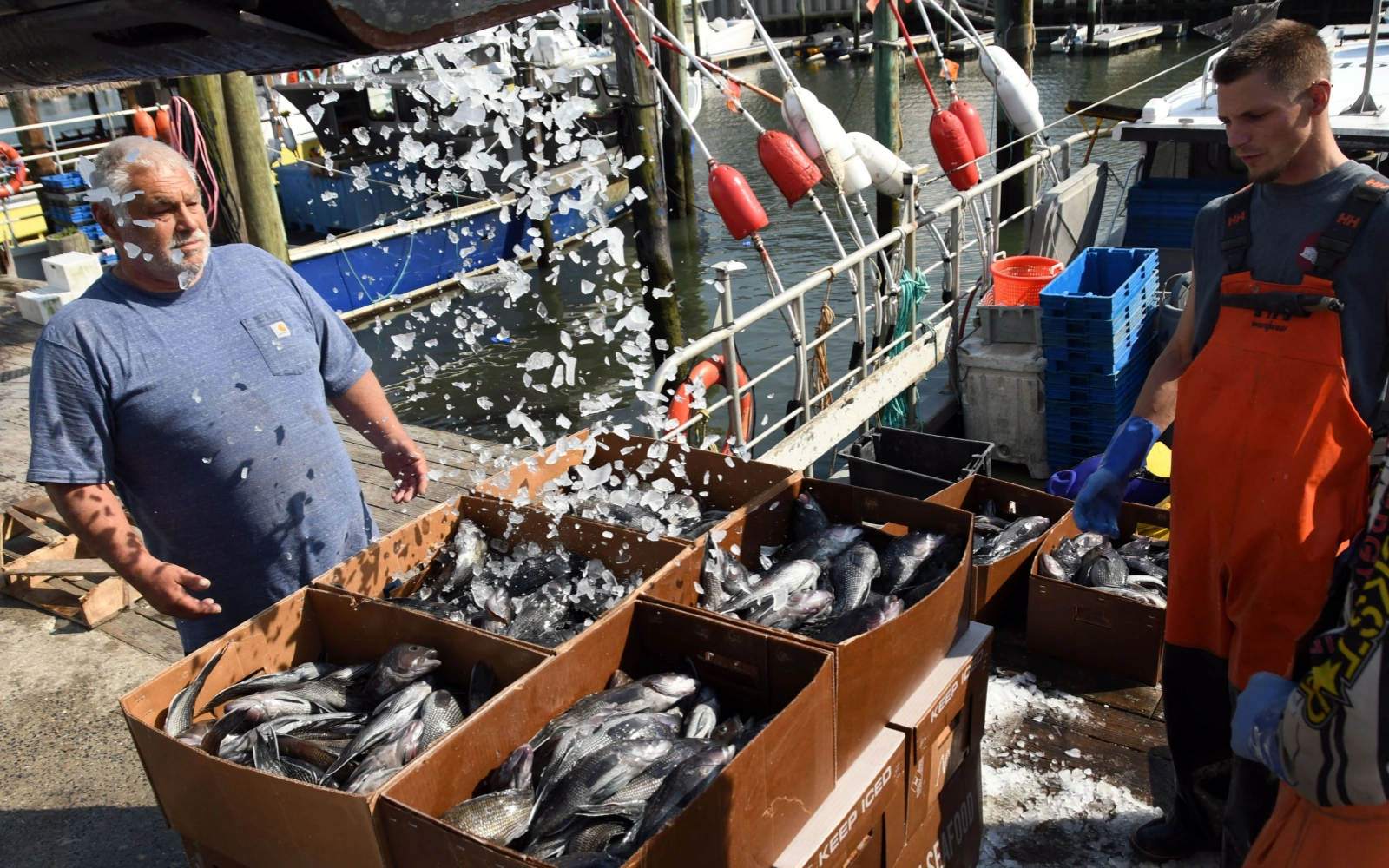 Heat Stroke Prevention for Fishing Port Unloading P1